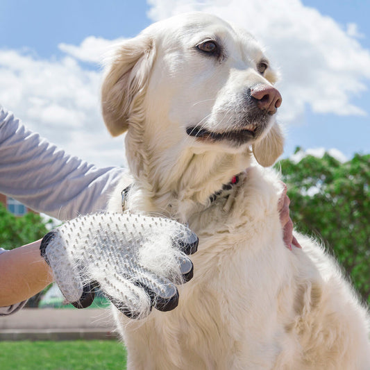 🐶🧤 Massage & Fellpflege in einem – Die 2-in-1 Pfotenliebe-Handschuh
