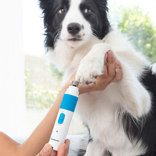 🔇🐾 Elektrische Krallenschleife für Haustiere – Sanft. Leise. Effizient.