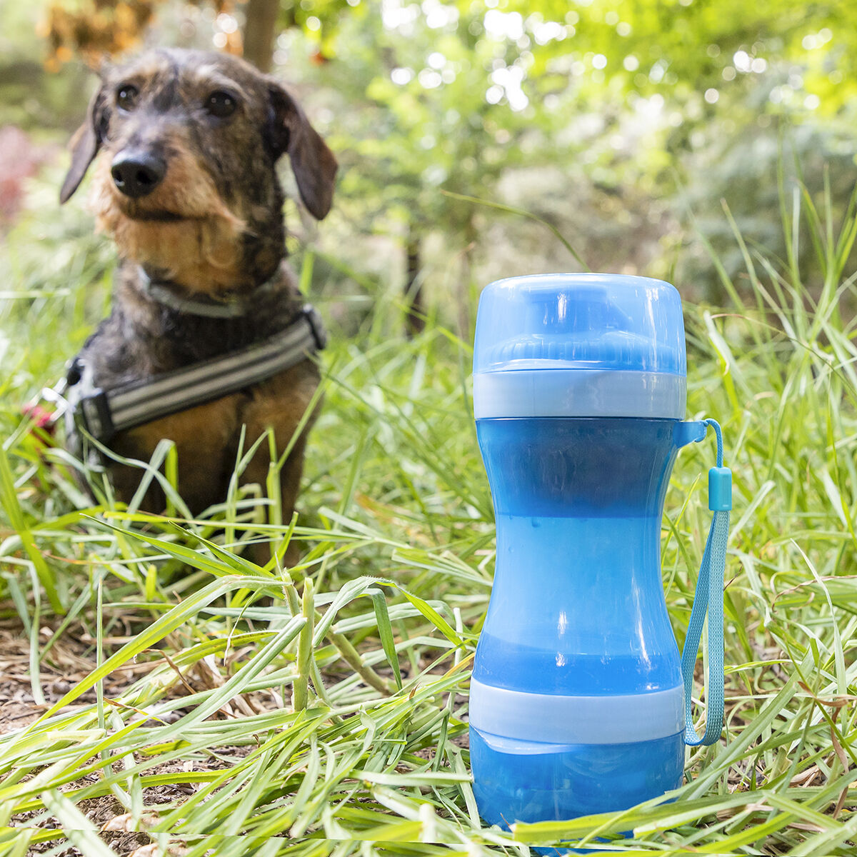 🐾💧 2-in-1 Trink- & Futterflasche für Haustiere – Pettap InnovaGoods