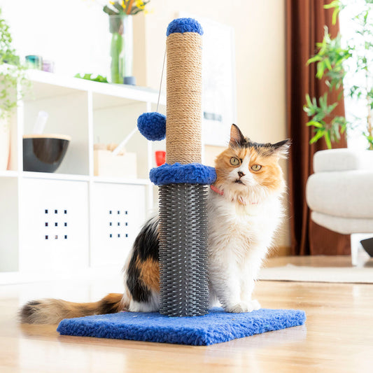 🐱🐾  Katzen-Kratz- & Massagepfosten mit Spielball – Miausage InnovaGoods